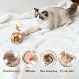 Migipaws Interactive MigiMouse Cat Toy 360° Rolling & Spin with Mesh Plastic Tail for Indoor Cats Smart Motion Sensor, Realistic Squeak, Rechargeable Plush Kitten Toy(Brown Long)