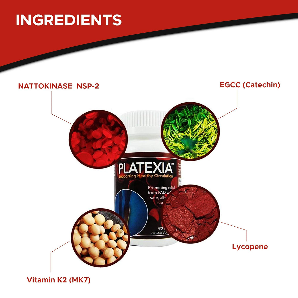 Vision Nutraceuticals Platexia with 3,000 FU Nattokinase NSP-2-90 Vegan Capsules - May Support Blood Circulation - Non-GMO & Kosher - 1 Capsule/Day, 3-Month Supply