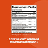 FreshCap 5-in-1 Energy Supplements, Energy Supplements for Women and Men, Energy Boosters for Fatigue, Energy Support, Cordyceps Extract, Ayurveda Cordyceps Mushroom Blend Capsules (120 Capsules)