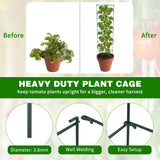 LAKNUAL 6 Packs Tomato Cages for Garden, 12"×12"×56" Plant Support Cage with Different Spacing, Green Metal Trellis for Climbing Plants Like Cucumber, Flowers