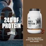 Levels Grass Fed Whey Protein Powder, No Artificials, 24G of Protein, Double Chocolate, 2LB
