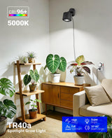 Barrina TR40a Track Plant Lights for Indoor Growing, 40W Ceiling Grow Lights with Adjustable Beam Angle (15°-60°), 5000K Full Spectrum Wall Plant Light with Timer for Greenhouse, Black Cover