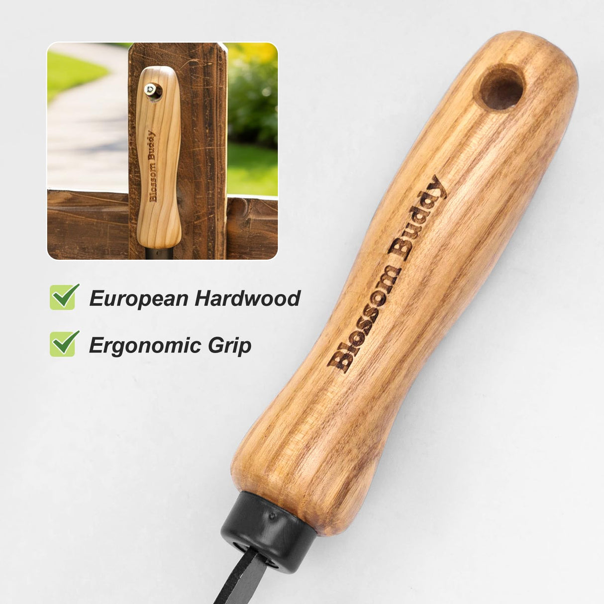 Blossom Buddy Cape Cod Weeder – Right Hand, Hand Weeding Tool for Tight Spaces Weeder Hoe with Ergonomic Ash Wood Handle for Weeding, Soil loosening, Digging