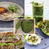 Tlence 9" Stackable Stainless Steel Seed Sprouting Kit, 3-Tier Mesh Germination Tray, Seed Sprout Grower with Lid Base, Microgreens Propagator for Beans Peas Broccoli Wheat Grass, Soil Free