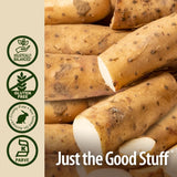 NAture's Answer Wild Yam | Promotes Overall Health & Well-Being | Made with Low Organic Alcohol | Gluten-Free, Non-GMO & Kosher Certified 2oz