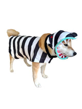 ComfyCamper Snake Costume for Dogs - Small Medium Large XLarge XXL Cosplay Halloween Costumes Christmas, L