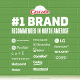 Cascade Platinum Plus Dishwasher Pods, Dishwasher Detergent, Dish Detergent Soap, Mountain, 47 Count