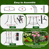 4 Pack Peony Cages and Supports, 12.5"Dx24"H Dual-Ring Metal Plant Supports