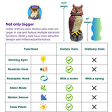 Solar Owl Guard with Motion Detector, Flashing Eyes, Spinning Head, Realistic Hooting and Silent Mode, Garden Owl, Outdoor Statue, Decoration for Home, Garden, Patio and Fence