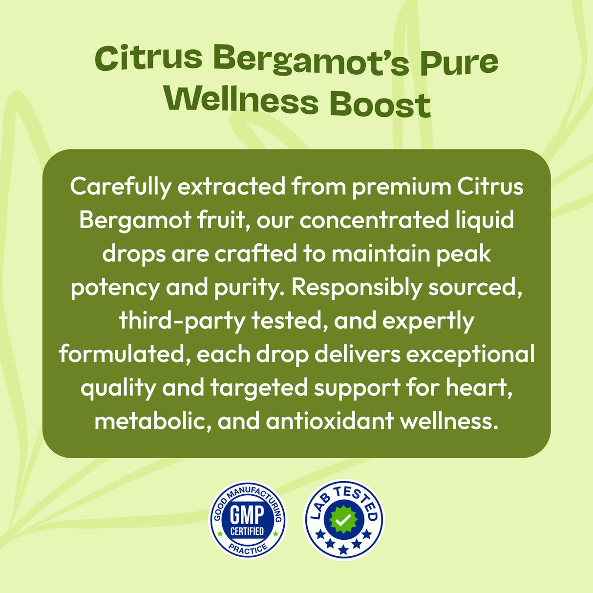 Citrus Bergamot Extract 25:1 Liquid Drops – Vegan, Gluten-Free – Comparable to Resveratrol and Berberine Supplement – 1000mg Bergamot Supplement for Heart Wellness and Metabolic Support (Citrus,60mL)