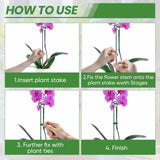 Plant Support Stakes 6 Pack, 12/24/36 Inch Heavy Duty Metal Plant Stakes, Adjustable Garden Plant Support Cages/Rings for Outdoor Indoor Plants, Plant Stick Support for Amaryllis Tomato Peony Orchid