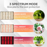 Plant Grow Light indoor,264 LEDs Full Spectrum Plant Light with Adjustable Tripod Stand with Remote Control and Auto On/Off Timer Function,Grow Lamp for Indoor Plants Greenhouse Veg Bloom Hydroponic