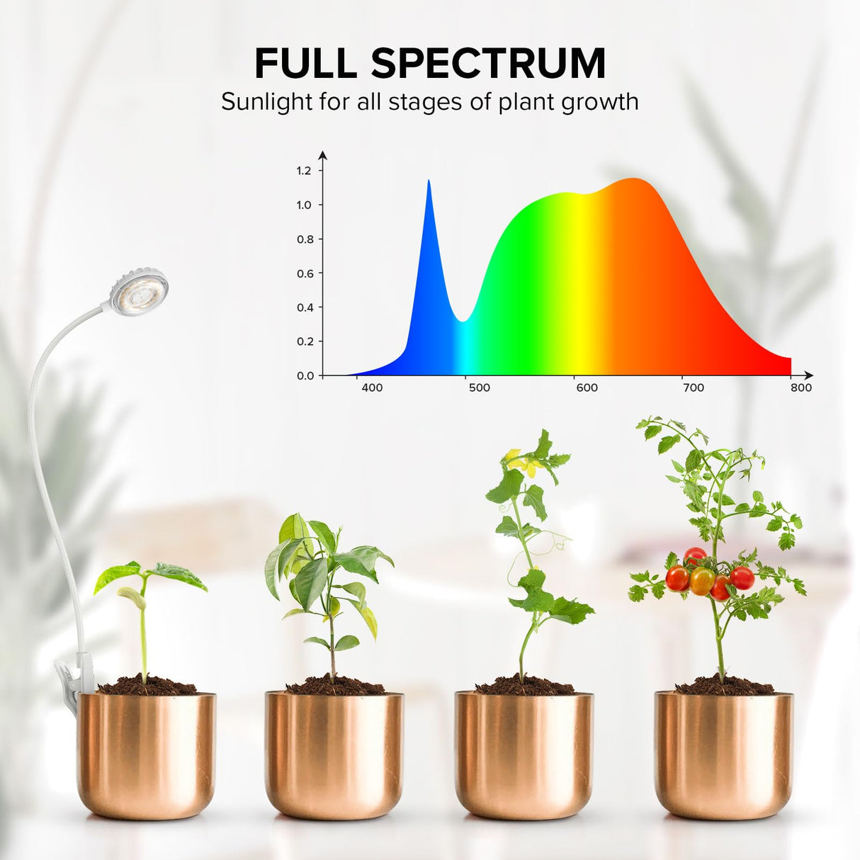 SGLEDs Clip-On Grow Lights for Indoor Plants, 2-in-1 Small Grow Light with One Plug & Auto Timer, 4000K Full Spectrum Dimmable LED Lamp for Potted Houseplants, Seedlings & Lemon Trees