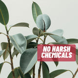 Acnetame Acne Pills 2 Pack 120 Pills- Vitamin Supplements for Acne Breakouts- Hormonal Pimple Tablets to Clear Oily Skin for Women, Men, Teens, and Adults