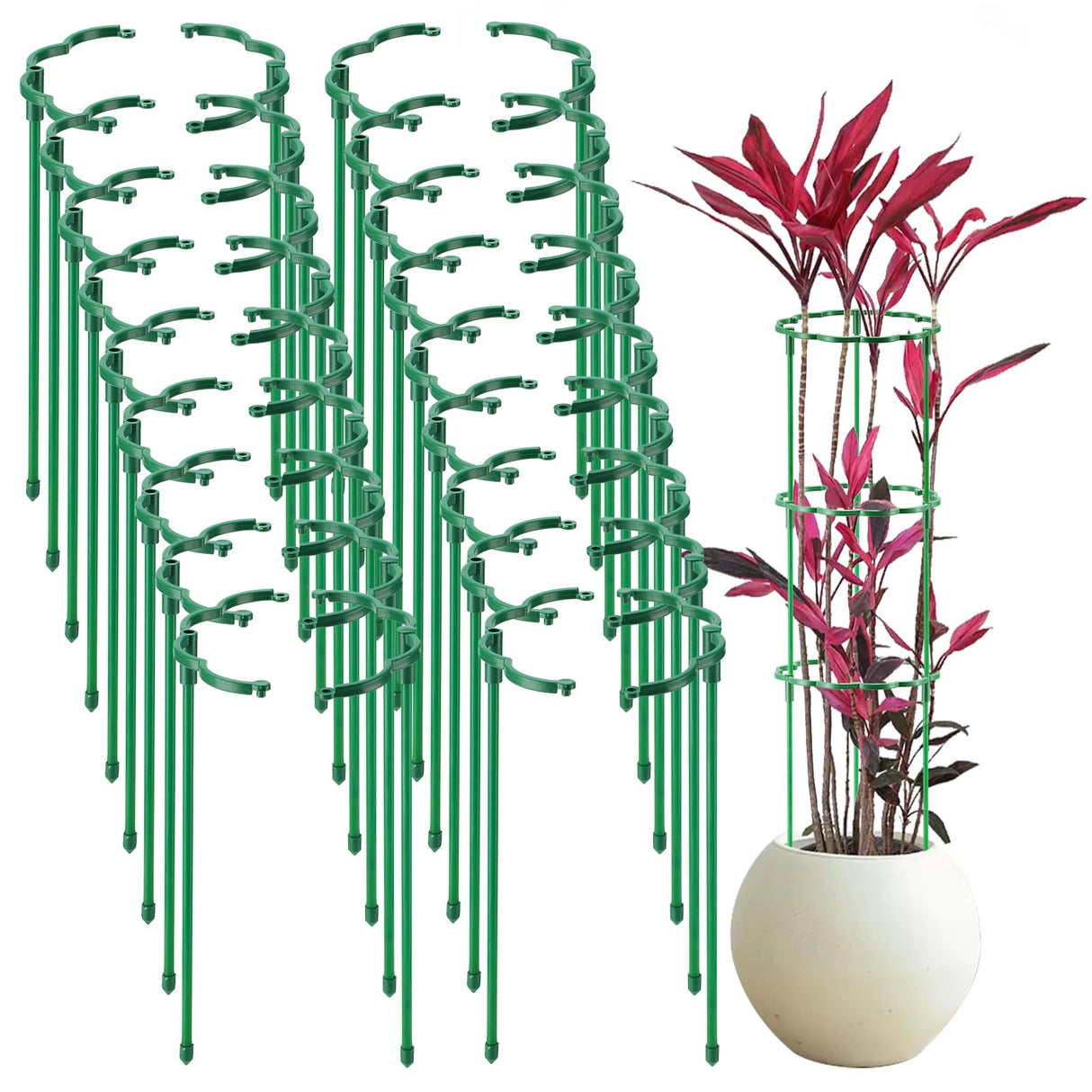 Moiggonoy 36 Pack Plant Support Stakes Sets - Versatile Plant Cages, Stackable Garden Flower Support， Small Plant Stakes for Indoor Plants,Tomato,Monstera, Peony, Hydrangea, Climbing Plants
