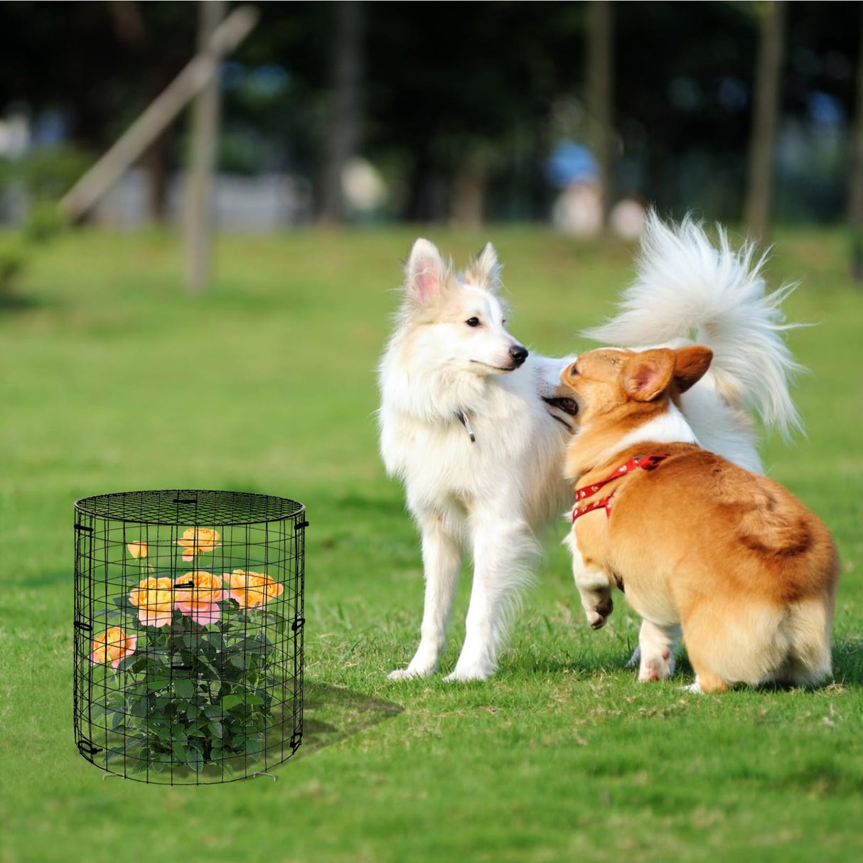 wdbg 6 Pack Plant Protectors from Animals with Cover, 18PCS 12.6"x11.8"