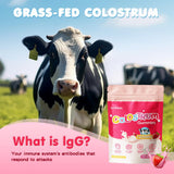 JUYIHEAL Colostrum Gummies, 1000 mg Grass Fed Colostrum Chews Colostrum Supplement for Gut Health, Hair Growth, Beauty, and Immune Support, Strawberry Flavor 60 Servings