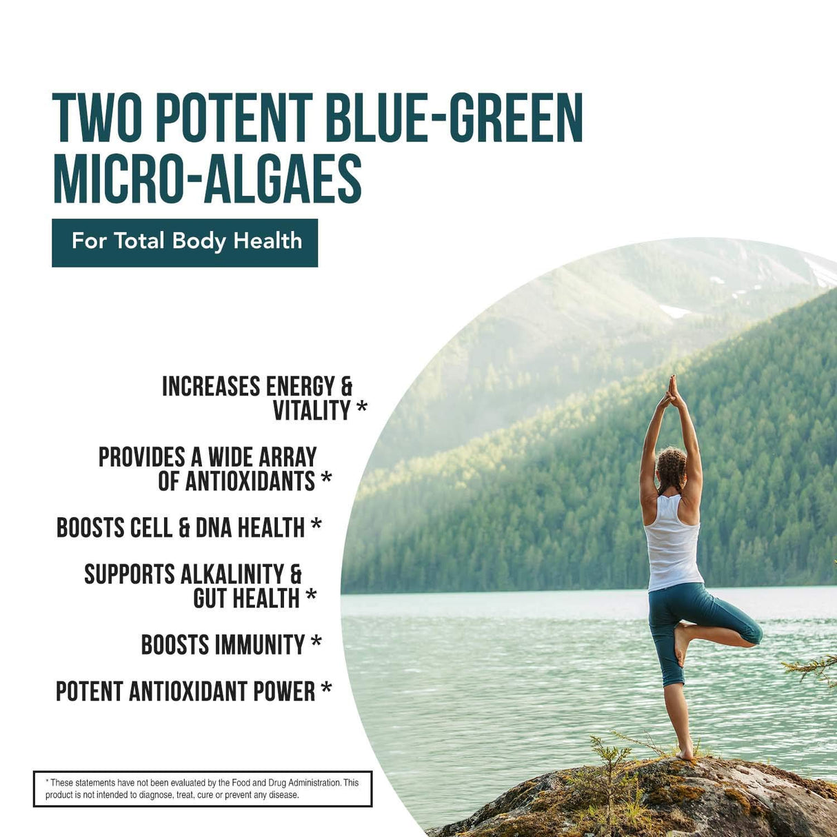 Organic Spirulina & Chlorella Tablets – 4 Organic Certifications, Raw, Non-Irradiated – 50/50 Blue Green Algae Blend – Antioxidant Content Equal to 5 Servings of Vegetables (120 Tablets)