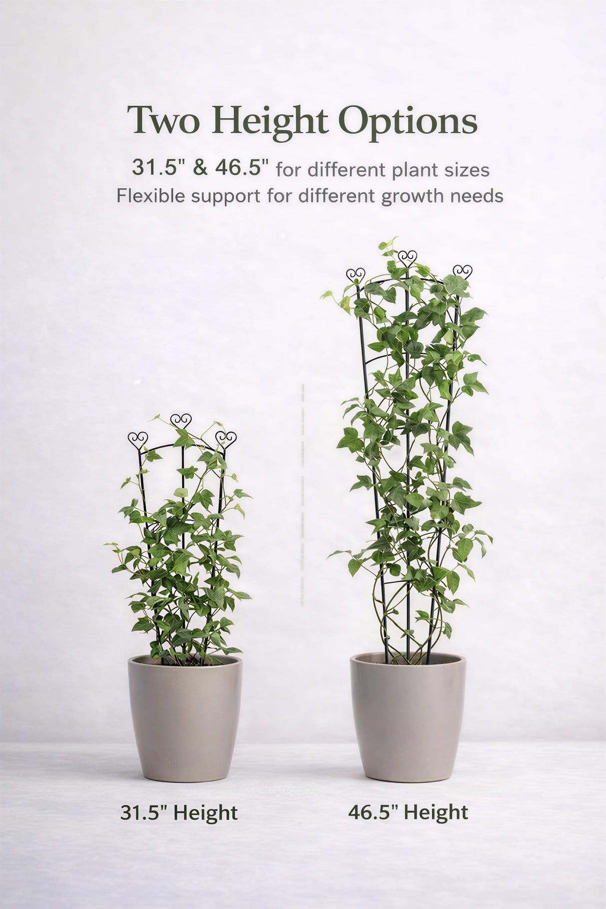2 Pack Trellis for Climbing Plants Indoor, 31.5 Inch & 46.5 Inch Garden Plant Trellis for Climbing Plants Outdoor, Expandable House Plant Support for Pothos, Ivy, Monstera, Hoya, Black