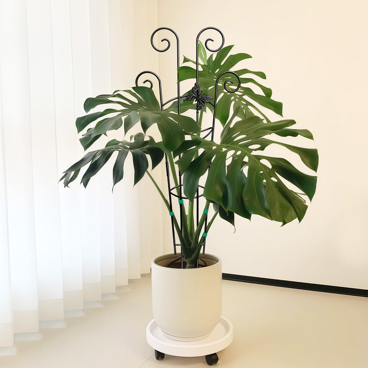 Coomin 32.6in Monstera Plant Support Trellis with One Butterfly, 2P