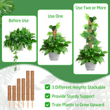 ROADPLUM 102 Inch Moss Pole for Plants Indoor (2*21.7", 2*16.5", 2*12.6") 6Pcs Coco Coir Pole Monstera Plant Support Pole for Plants Climbing with 65.6ft Twist Tie, Plant Tie and Jute Rope for Potted