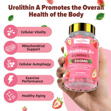 HEALOADING Urolithin A Supplement Gummies 500MG：Urolithin A+ Supplement for Healthy Aging Antioxidants and Mitochondrial Support，Non-GMO Vegan Friendly(60 Count)