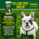 Yellow Spot Green™ Dog Urine Neutralizer for Lawns, Large 32 Ounce