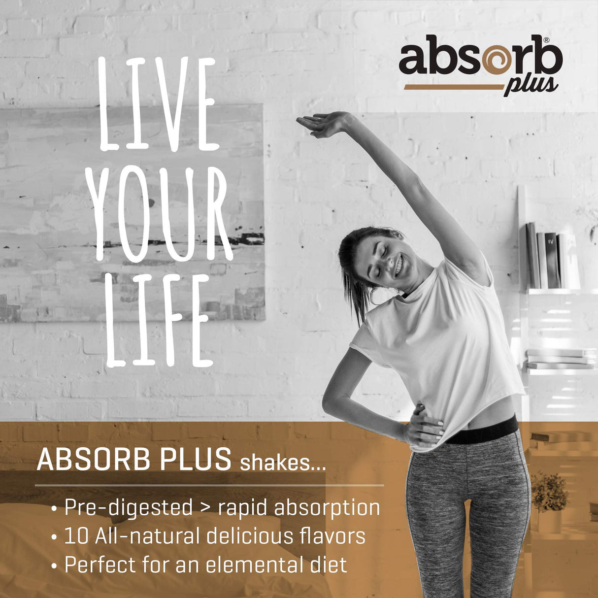 Absorb Plus Vegan Elemental Shake – Nutrient-Rich Powder Nutritional Support, Natural Ingredients, Non-GMO, Gluten-Free, Organic Sprouted Rice Protein (2.2 Pound, Mocha Latte)
