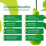 Creatine Monohydrate Gummies for Men & Women - Boost Focus, Strength, and Endurance, Anti-Melting Formula, Vegan, Gluten-Free, Non-GMO, 1.5 Gram Creatine per Gummy (Sour Green Apple, 90 ct)