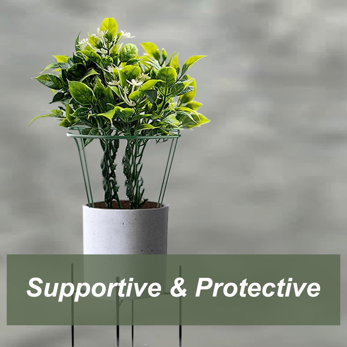 12 Pack Plant Support Stake, 16 Inch Peony Cages and Supports for Outdoor Plants, with 15 Pcs Plant Labels, 20 Pcs Plant Clips, 7ft Plant Ties