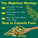 Kuli Kuli Organic Moringa Capsules [60 Count] - Premium Moringa Leaf Powder Capsules - Nutrient-Dense Superfood for Energy, Vitality, and Wellness