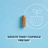 Ancient Nutrition Regenerative Organic Certified Probiotics for Women, Probiotics Women’s Extra Strength, Healthy Digestion and Immune System Function Support, 25 Billion CFUs* Per Serving, 60 Count