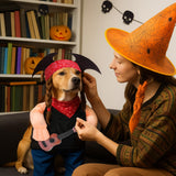Huhumy Halloween Country Singer Dog Costume Pet Guitar Costume with Felt Funny Guitar Plush Arm Ponytail Wig for Small Medium Dogs Chihuahua Pug Christmas Party Halloween Cosplay Outfit(XL)