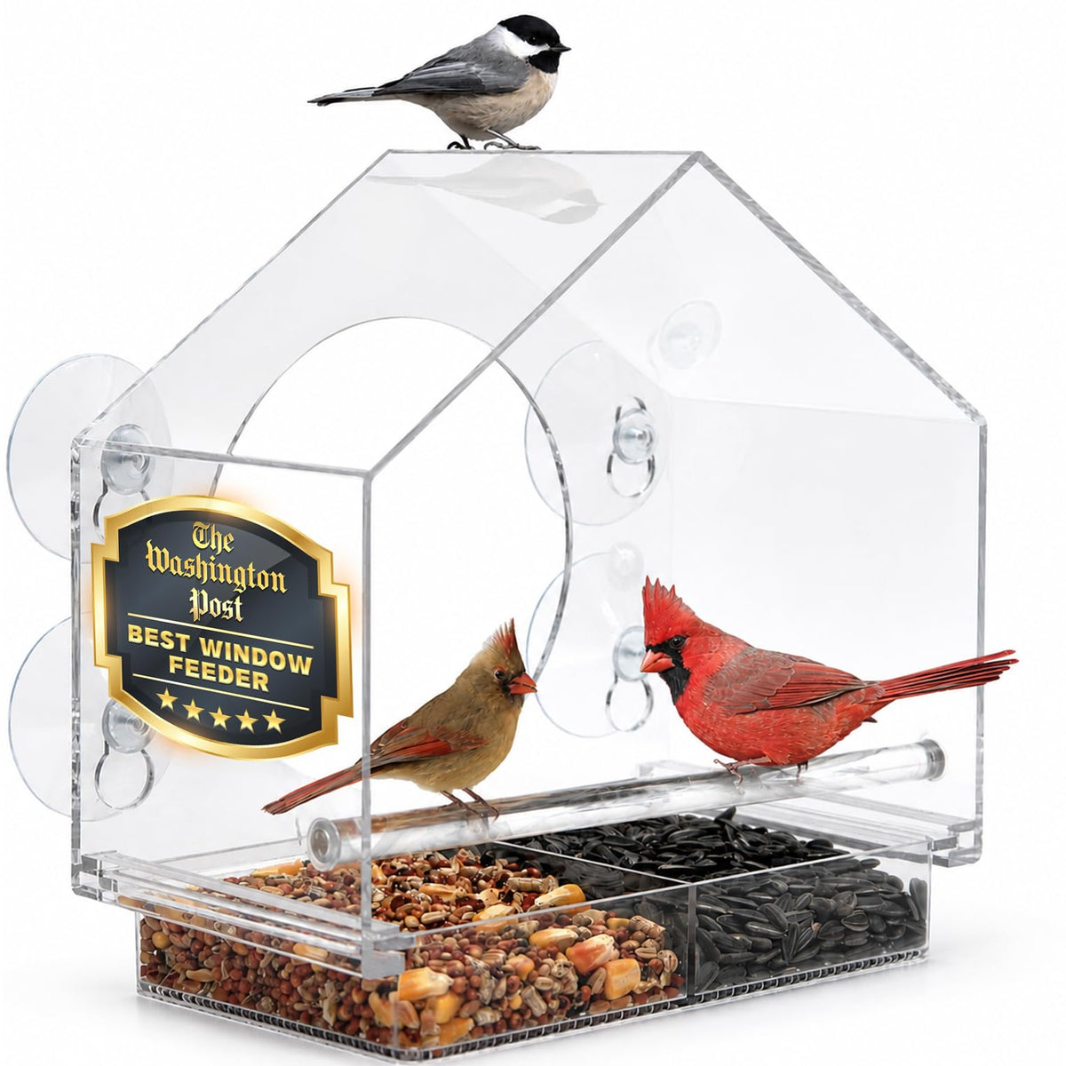 Window Bird Feeder with Strong Suction Cups, Bird Feeders for Outdoors