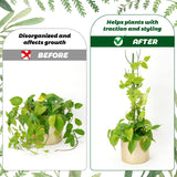 8 Pack Monstera Plant Support Stakes, Detachable Twig Plant Support