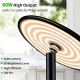 chiphy 85" Tall Grow Light for Large Indoor Plants, 60W Full Spectrum Plant Light with 4/8/12H Timer & Remote, 10-Level Dimmable, Height Adjustable, Ideal for Large Tall Plants & Indoor Trees