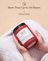 M&SENSE Spiced Apple Scented Candles for Home Natural Soy Wax 19.4oz 110 Hours Large Long Lasting Highly Scented Classic Christmas Holiday 2 Wicks Candle Gift Home Decor