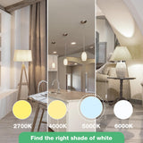 DEGNJU LED Light Bulbs Daylight 5000K, 60 Watt Equivalent LED Bulbs, A19 Standard Bulbs, 800 LM, 15000 Hours, E26 Base, Non-Dimmable, 8W LED Bulbs for Bedroom Living Room 24 Pack