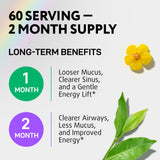 IQ BIOLOGY Mullein Drops for Lungs - USDA Organic Mullein Supplement with Arjuna - Made in USA - Lung Detox for Smokers, Bronchial Cleanse with for Respiratory to Clear Lungs, Break Up Mucus*, 2 oz