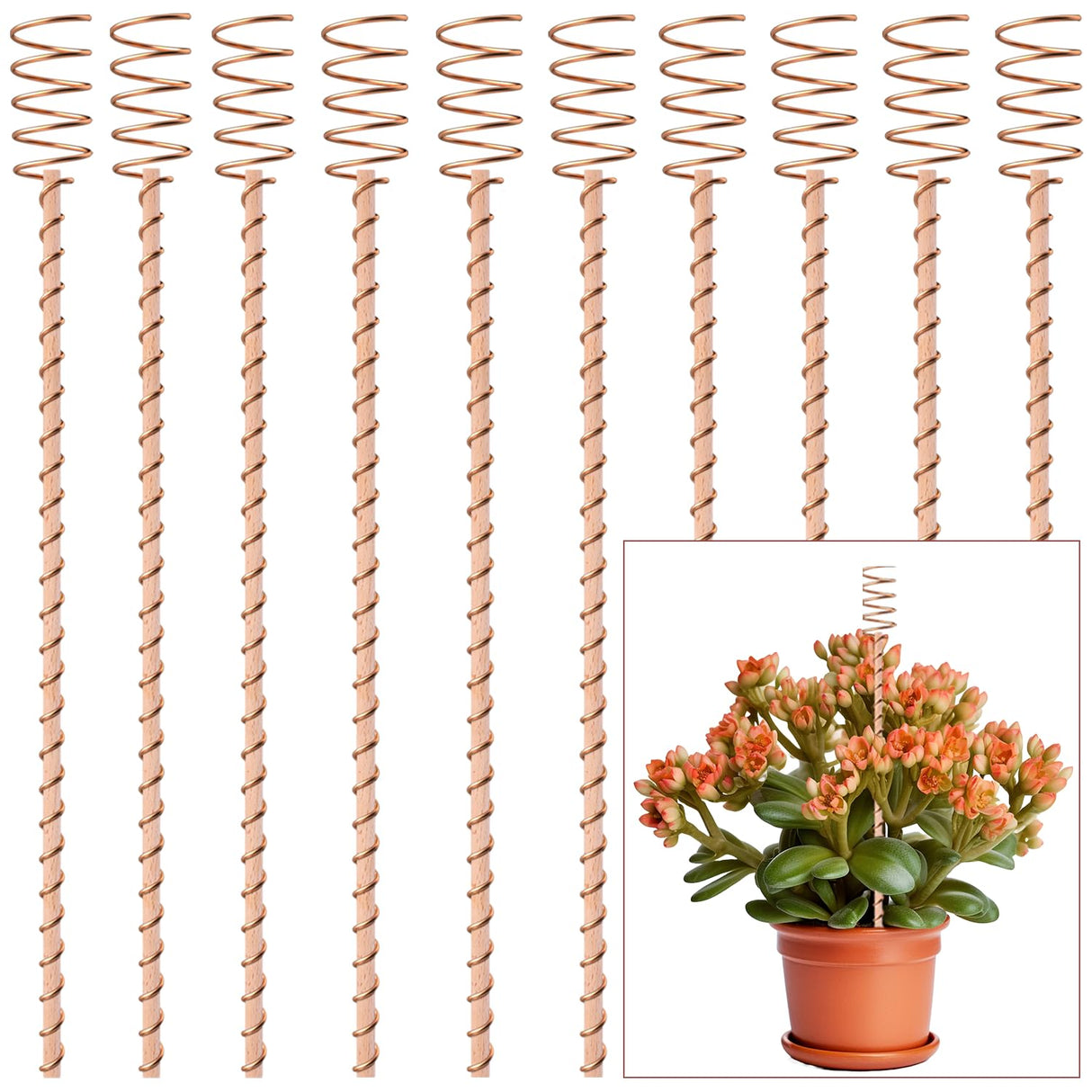 10Pack 17" Electroculture Plant Stakes, Electroculture Copper Gardening Antennas, Long Copper Garden Stakes for Plants Fruits Vegetables Growth, Eco-Friendly & High-Yield