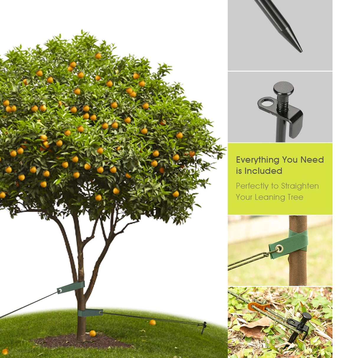 Tree Stakes and Supports, RIFNY Tree Straightening Kits for Leaning Tree