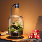 Yeeweek Glass Plant Terrarium with LED Grow Light, Grow Light for Terrarium, Small Desktop Indoor Planter for Venus Fly Trap, Moss & Succulents, Borosilicate Decor Jar for Plant Lovers