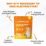Venture Pal Sugar Free Electrolyte Powder Packets - Liquid Daily IV Drink Mix for Rapid Hydration & Party Recovery | 5 Vitamins & 7 Electrolytes| Keto Friendly | Non-GMO | Certified Vegan | 16 Sticks