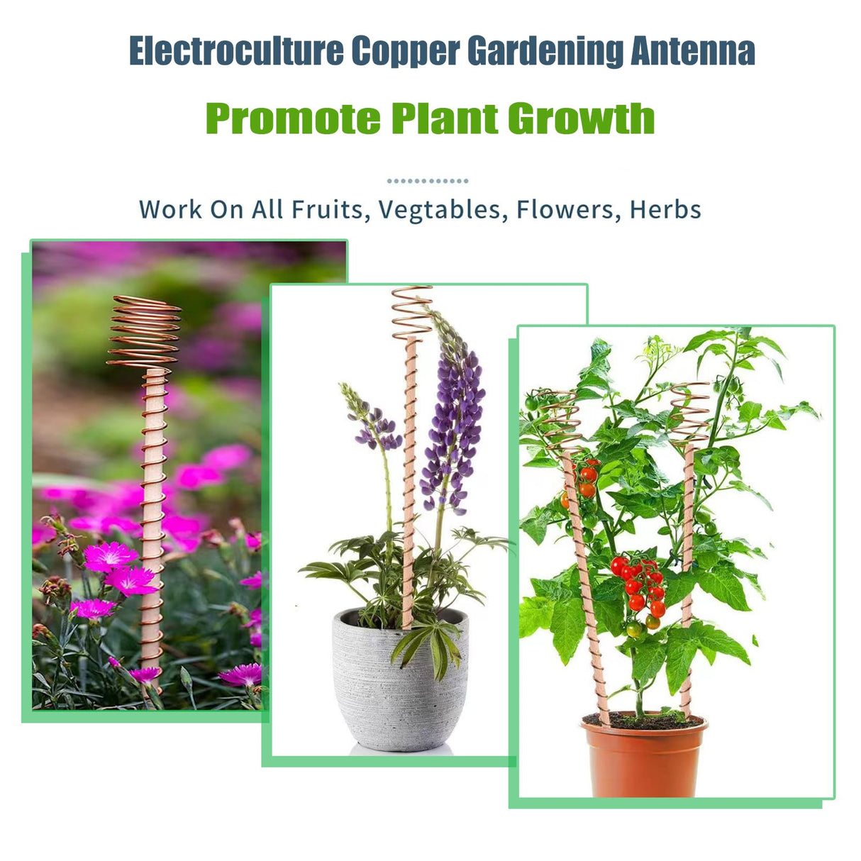 12" Electroculture Plant Stakes,10 Pack Copper Garden Stakes, Long Electroculture Copper Coil Antennas for Growing Vegetable Garden Plants Support High-Yield, Eco-Friendly
