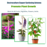 12" Electroculture Plant Stakes,10 Pack Copper Garden Stakes, Long Electroculture Copper Coil Antennas for Growing Vegetable Garden Plants Support High-Yield, Eco-Friendly