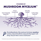 Host Defense Mushrooms Lion's Mane - Supplement Capsules for Brain Health Support - Mushroom Support for Focus & Memory Function - Immune & Nervous System Supplement - 120 Capsules (60 Servings)*