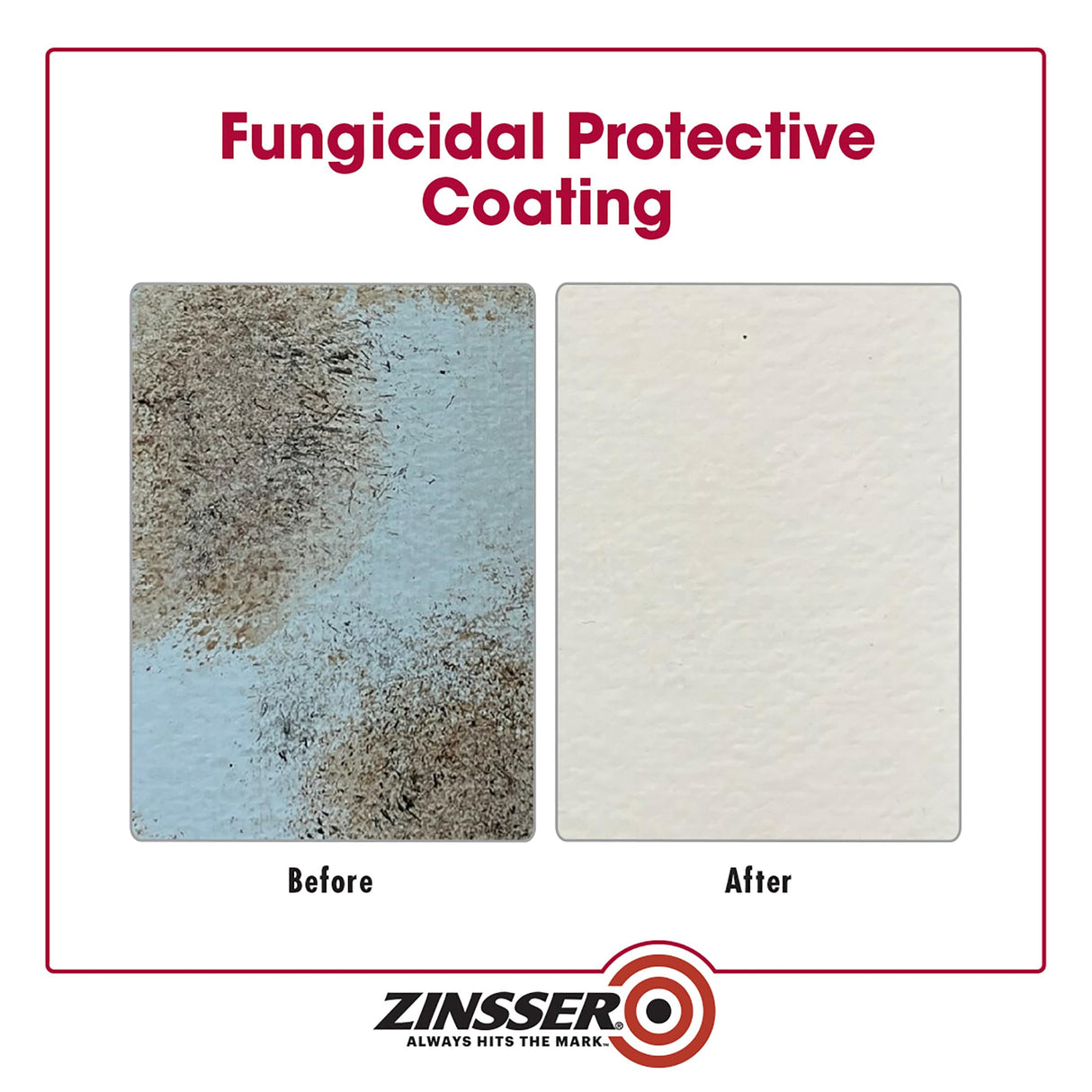 qt Zinsser 276087 White Zinsser, Mold Killing Primer Water-Based Mold Killing Primer