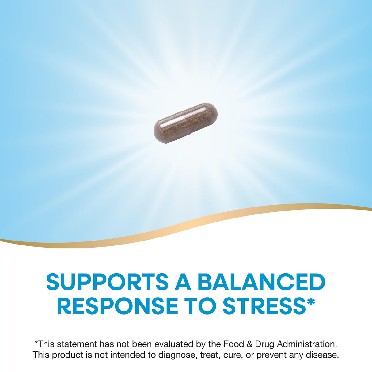 Nature's Way Ashwagandha, Reduces Stress*, Premium Extract, Adaptogenic*, Non-GMO Project Verified, Vegan, 60 Capsules