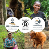 Bumboo Bamboo Toilet Roll 48 Pack | Wrapped Toilet Paper 3 ply, 300 Sheets | Eco Friendly Toilet Paper Bulk | Plastic-Free, Soft, Strong, Sustainable & Biodegradable Loo Roll