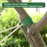 Jevrench 36 PCS Tree Straps for Staking, Guying, & Hurricane Protection, Heavy Duty Nylon Tree Support Straps with Buckle Fasteners